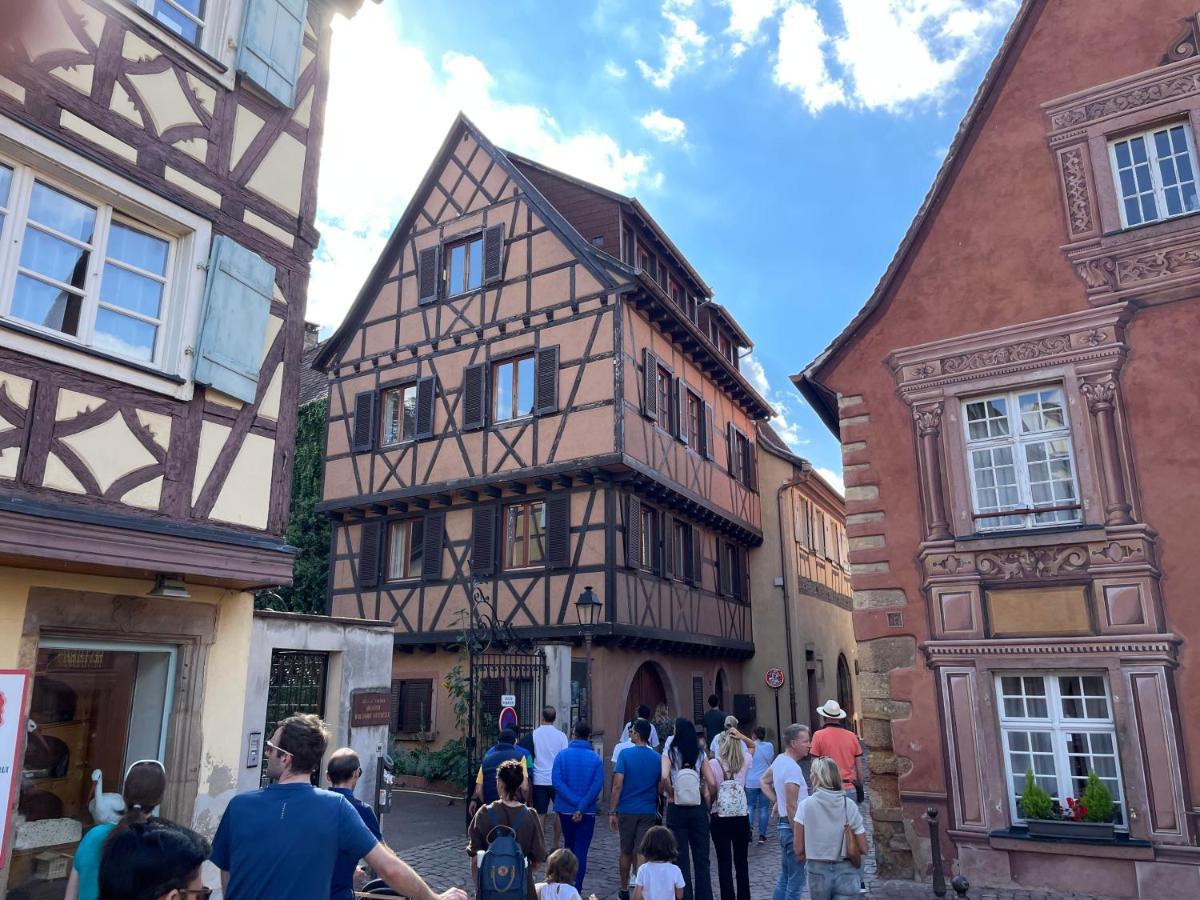 Rive Petite Venise Appartement Luxe - Centre Ville Colmar - Clim, Ascenseur & Possibilite Parking Ngoại thất bức ảnh